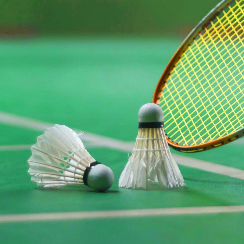 Lotka do badmintona profesjona – Badminton Raket recenzja i cena