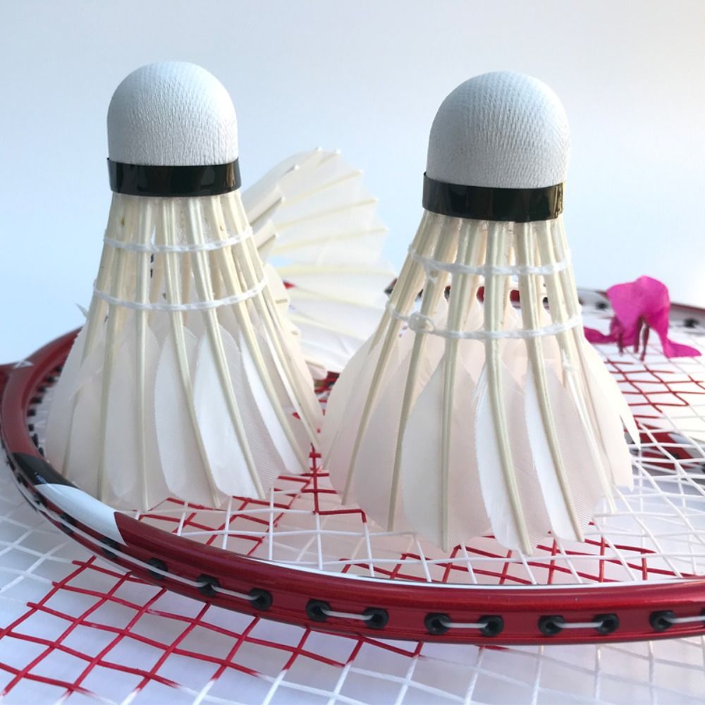 3/6/12 sztuk profesjonalna lot – Badminton Nylon Shuttlecock recenzja i cena